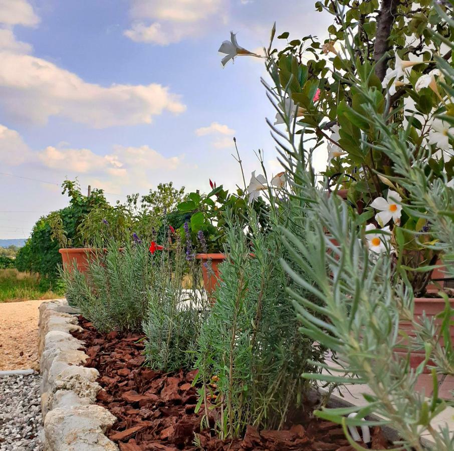 Le Vigne Di Annalisa Sweet Relax Rooms In Unesco Prosecco D.O.C.G. Farra di Soligo Buitenkant foto